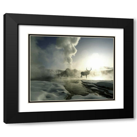 WY, Yellowstone, Castle Geyser Silhouette of elk Black Modern Wood Framed Art Print with Double Matting by Zuckerman, Jim
