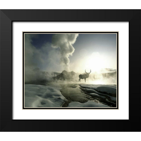 WY, Yellowstone, Castle Geyser Silhouette of elk Black Modern Wood Framed Art Print with Double Matting by Zuckerman, Jim