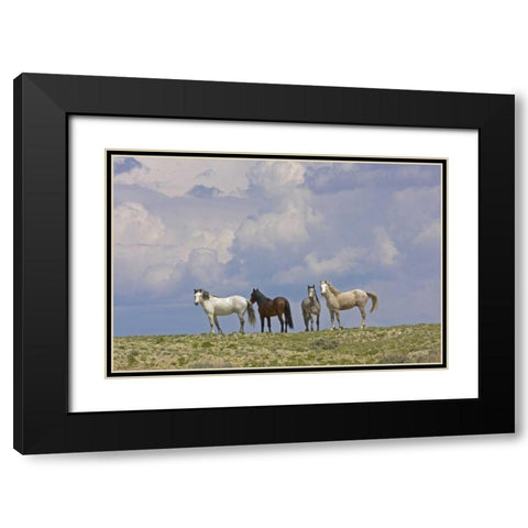 WY, Carbon Co, Wild horses and building clouds Black Modern Wood Framed Art Print with Double Matting by Illg, Cathy and Gordon