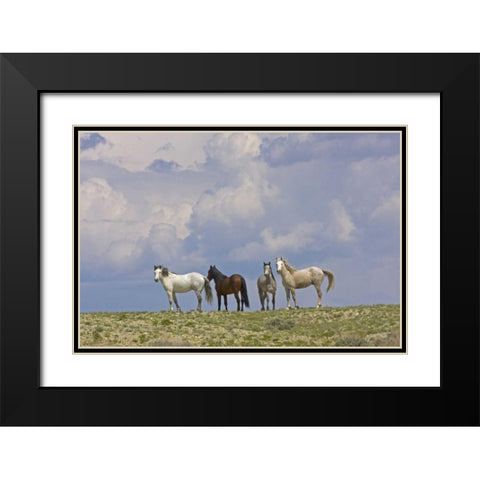 WY, Carbon Co, Wild horses and building clouds Black Modern Wood Framed Art Print with Double Matting by Illg, Cathy and Gordon