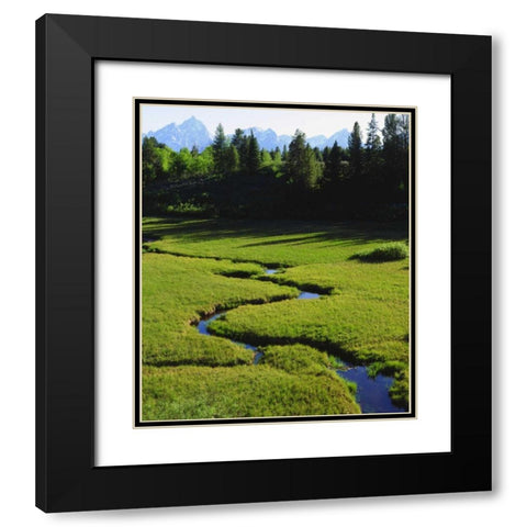 WY, Grand Tetons above a lush meadow Black Modern Wood Framed Art Print with Double Matting by Talbot Frank, Christopher