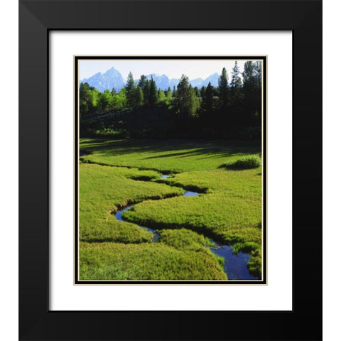 WY, Grand Tetons above a lush meadow Black Modern Wood Framed Art Print with Double Matting by Talbot Frank, Christopher