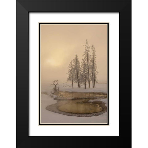 USA, Wyoming, Yellowstone NP Foggy winter scenic Black Modern Wood Framed Art Print with Double Matting by Illg, Cathy and Gordon