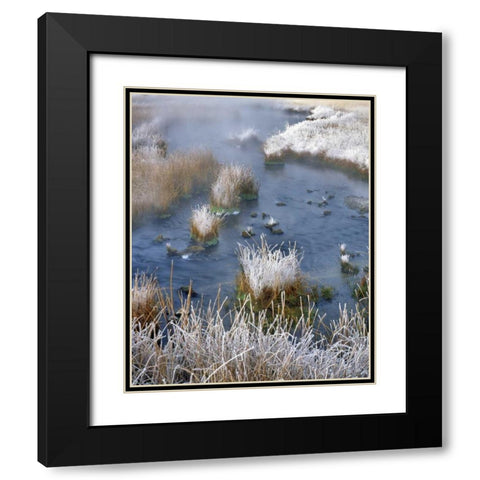 Wyoming, Yellowstone NP Frost along White Creek Black Modern Wood Framed Art Print with Double Matting by Terrill, Steve