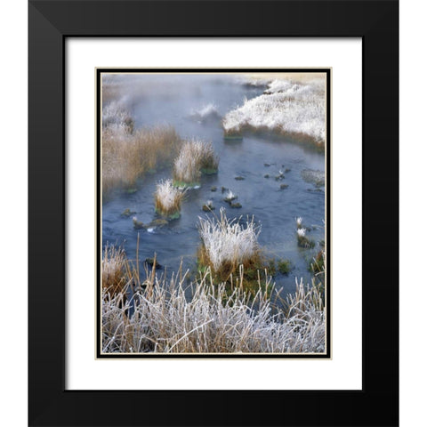 Wyoming, Yellowstone NP Frost along White Creek Black Modern Wood Framed Art Print with Double Matting by Terrill, Steve