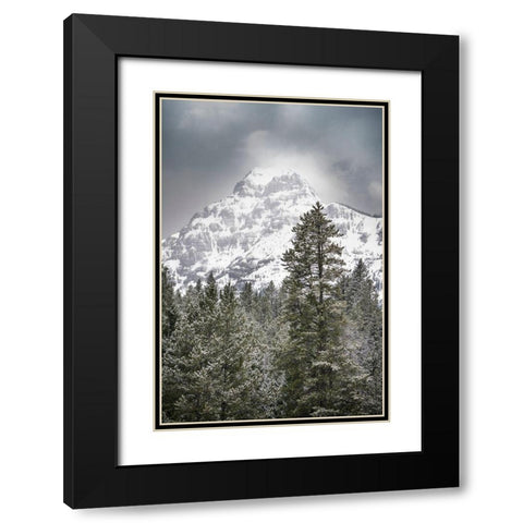 Wyoming-Yellowstone National Park Spring snow storm on mountain Black Modern Wood Framed Art Print with Double Matting by Jaynes Gallery