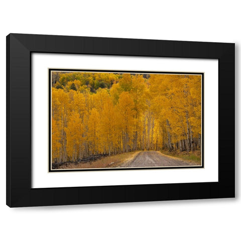 USA-Wyoming-Grand Teton National Park Road through fall aspen trees Black Modern Wood Framed Art Print with Double Matting by Jaynes Gallery