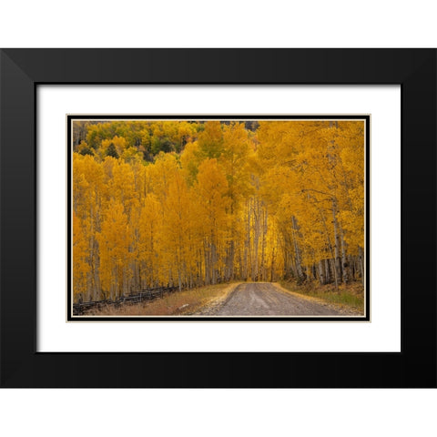 USA-Wyoming-Grand Teton National Park Road through fall aspen trees Black Modern Wood Framed Art Print with Double Matting by Jaynes Gallery