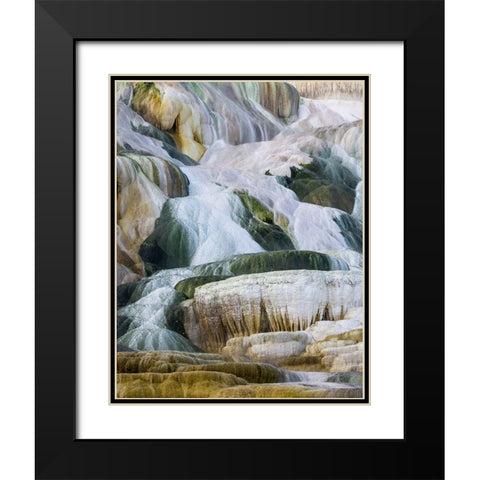 USA- Wyoming- Yellowstone National Park. Mammoth Hot Springs Black Modern Wood Framed Art Print with Double Matting by Gulin, Darrell