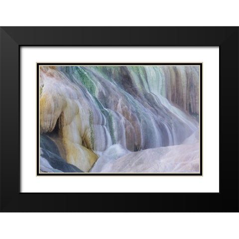 USA- Wyoming- Yellowstone National Park. Mammoth Hot Springs Black Modern Wood Framed Art Print with Double Matting by Gulin, Darrell