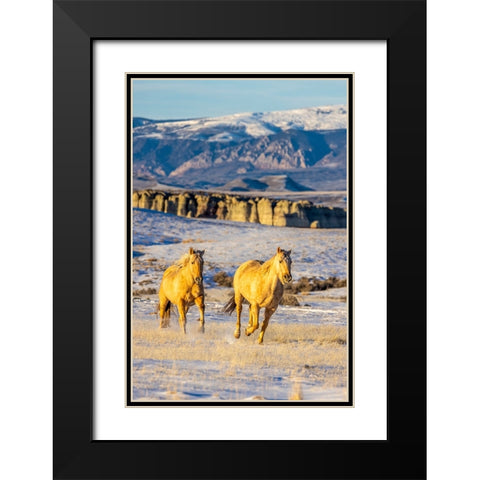 USA- Wyoming. Hideout Horse Ranch- horses in snow. Black Modern Wood Framed Art Print with Double Matting by Looney, Hollice