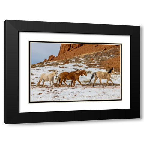 USA- Wyoming. Hideout Horse Ranch- horses in snow. Black Modern Wood Framed Art Print with Double Matting by Looney, Hollice