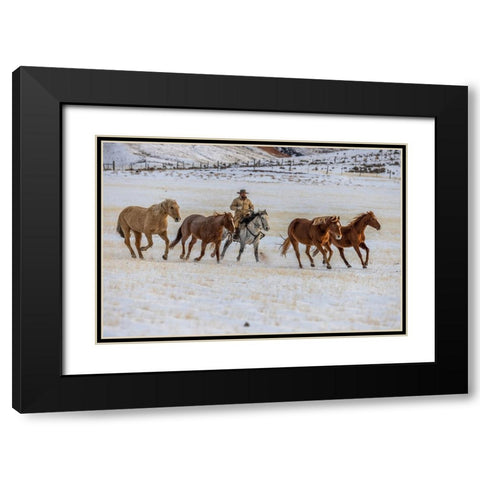 USA- Wyoming. Hideout Horse Ranch- wrangler and horses in snow. Black Modern Wood Framed Art Print with Double Matting by Looney, Hollice