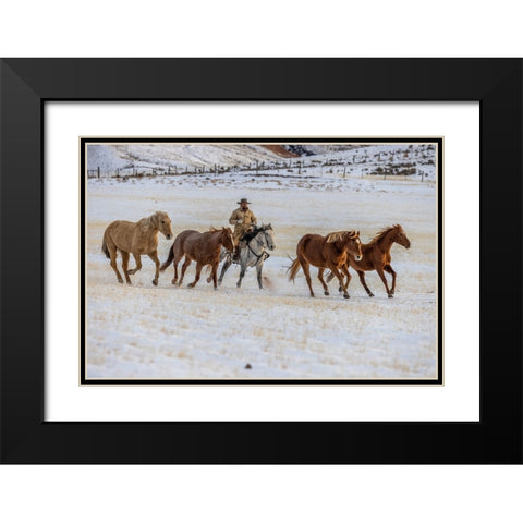 USA- Wyoming. Hideout Horse Ranch- wrangler and horses in snow. Black Modern Wood Framed Art Print with Double Matting by Looney, Hollice