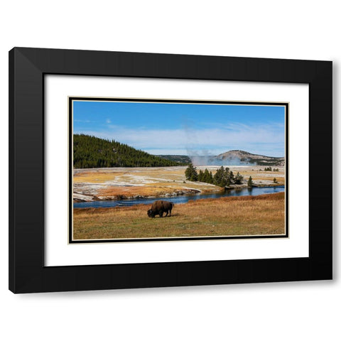 Yellowstone National Park-USA-Wyoming Buffalo and Old Faithful Black Modern Wood Framed Art Print with Double Matting by Sienda, Jolly