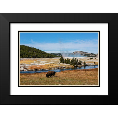 Yellowstone National Park-USA-Wyoming Buffalo and Old Faithful Black Modern Wood Framed Art Print with Double Matting by Sienda, Jolly