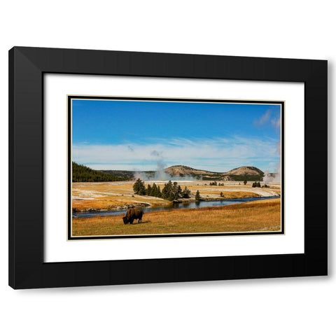 Yellowstone National Park-USA-Bison-buffalo-Steam-Old Faithful-Yellowstone River Black Modern Wood Framed Art Print with Double Matting by Sienda, Jolly