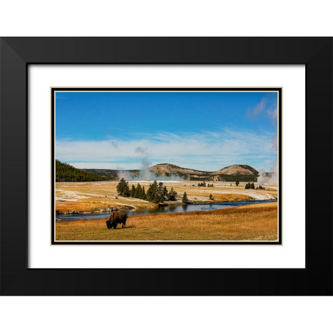 Yellowstone National Park-USA-Bison-buffalo-Steam-Old Faithful-Yellowstone River Black Modern Wood Framed Art Print with Double Matting by Sienda, Jolly