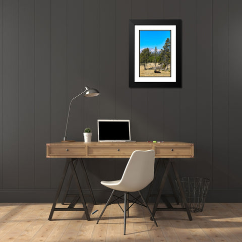 Yellowstone National Park-Wyoming-USA Buffalo Black Modern Wood Framed Art Print with Double Matting by Sienda, Jolly