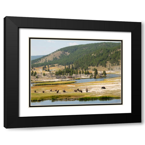 Wyoming- Yellowstone National Park. Bison herd and Firehole River Black Modern Wood Framed Art Print with Double Matting by Wild, Jamie and Judy