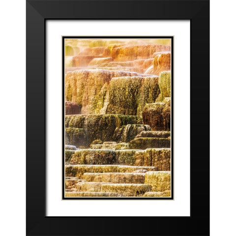 Travertine terraces at Minerva Spring-Mammoth Hot Springs-Yellowstone National Park-Wyoming-USA Black Modern Wood Framed Art Print with Double Matting by Bishop, Russ