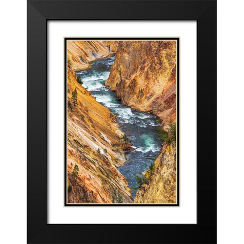 The Yellowstone River in the Grand Canyon of the Yellowstone-Yellowstone National Park-Wyoming-USA Black Modern Wood Framed Art Print with Double Matting by Bishop, Russ