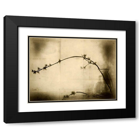 Zen Black Modern Wood Framed Art Print with Double Matting by Hummel, Jeffrey