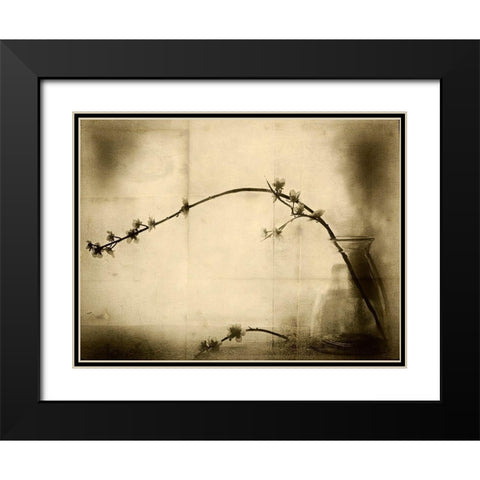 Zen Black Modern Wood Framed Art Print with Double Matting by Hummel, Jeffrey