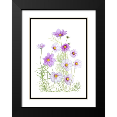 Cosmos Comfort Black Modern Wood Framed Art Print with Double Matting by Disher, Mandy