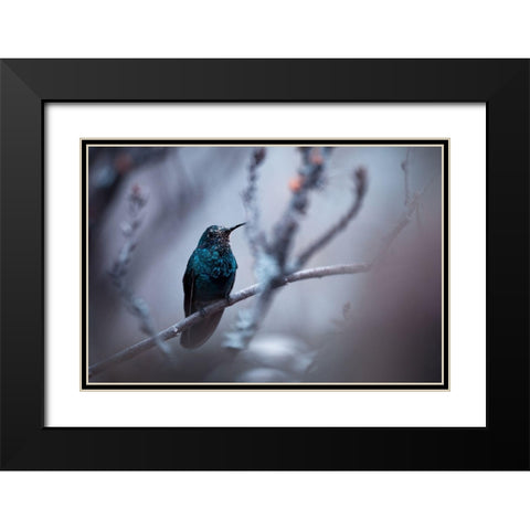 Electrical Blue Black Modern Wood Framed Art Print with Double Matting by Bravin, Fabien