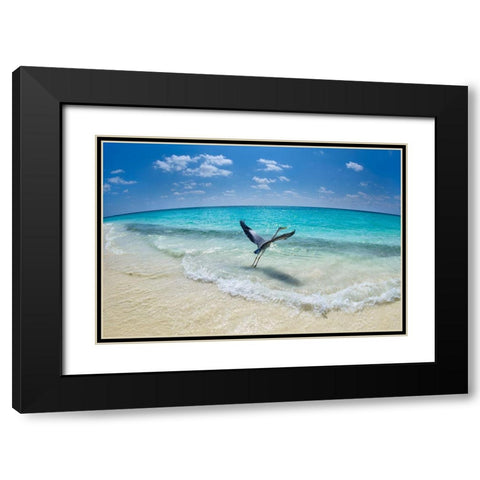 Take-Off Black Modern Wood Framed Art Print with Double Matting by Marchegiani, Roberto