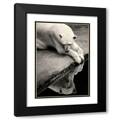 Who Is That Beauty In The Water Black Modern Wood Framed Art Print with Double Matting by Wallberg, Allan