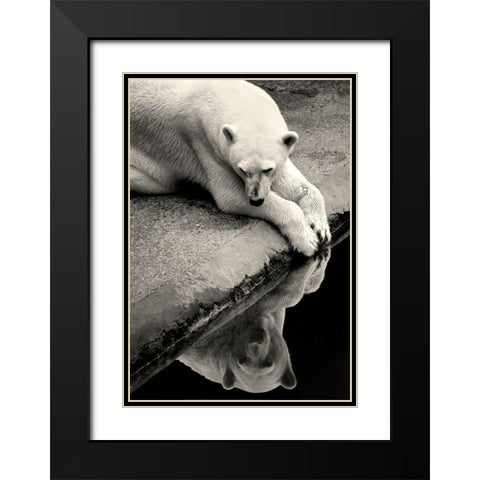 Who Is That Beauty In The Water Black Modern Wood Framed Art Print with Double Matting by Wallberg, Allan