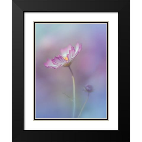 Pink Elegance Black Modern Wood Framed Art Print with Double Matting by Koumura, Miyako