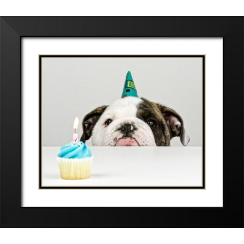 A Little Birthday Black Modern Wood Framed Art Print with Double Matting by Melnotte, Mike