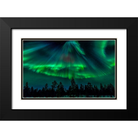 Northern Bell Black Modern Wood Framed Art Print with Double Matting by Schwartz, Yair
