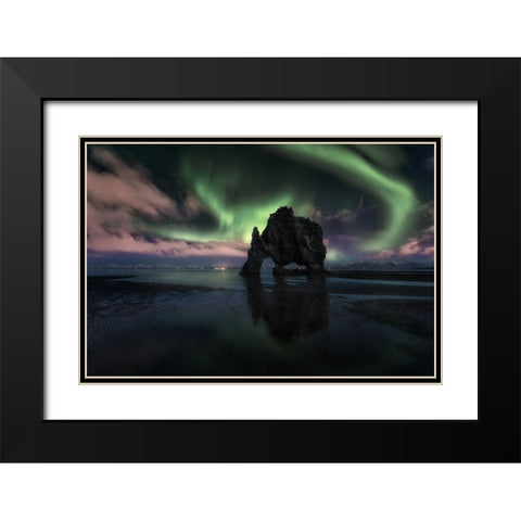 Rhino Black Modern Wood Framed Art Print with Double Matting by Martin Castan, David