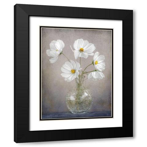 Simply Cosmos Black Modern Wood Framed Art Print with Double Matting by Disher, Mandy