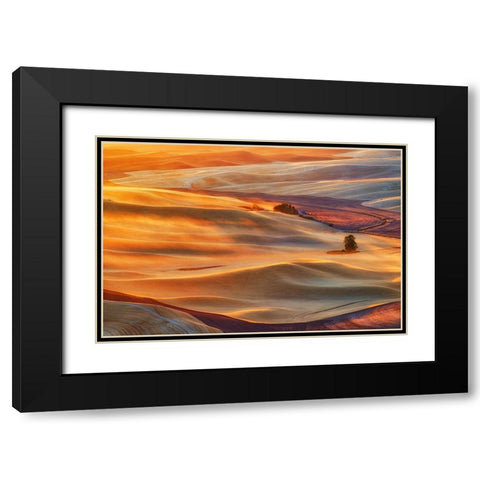 Golden Palouse Black Modern Wood Framed Art Print with Double Matting by Jacobs, Lydia