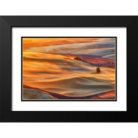 Golden Palouse Black Modern Wood Framed Art Print with Double Matting by Jacobs, Lydia
