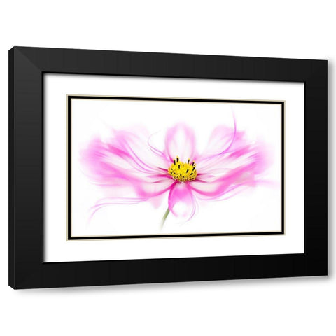 Breeze Black Modern Wood Framed Art Print with Double Matting by Parker, Jacky