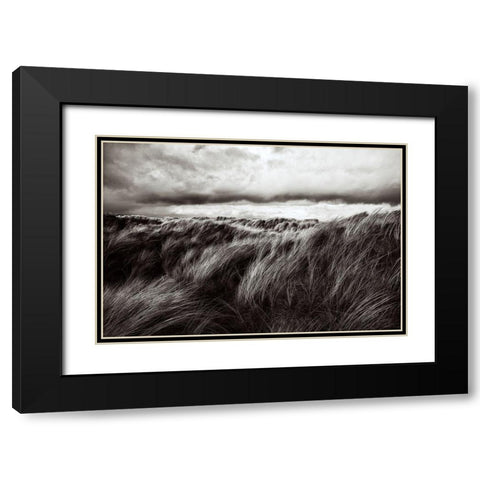 Dunes Of Grass Black Modern Wood Framed Art Print with Double Matting by Paul