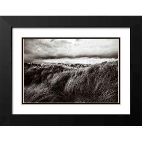 Dunes Of Grass Black Modern Wood Framed Art Print with Double Matting by Paul