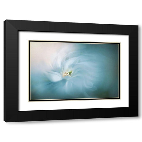 Serene Black Modern Wood Framed Art Print with Double Matting by Parker, Jacky