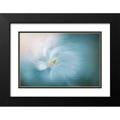 Serene Black Modern Wood Framed Art Print with Double Matting by Parker, Jacky