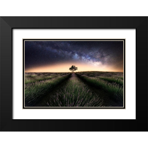 Lavender Way Black Modern Wood Framed Art Print with Double Matting by Ferrero, Ivan