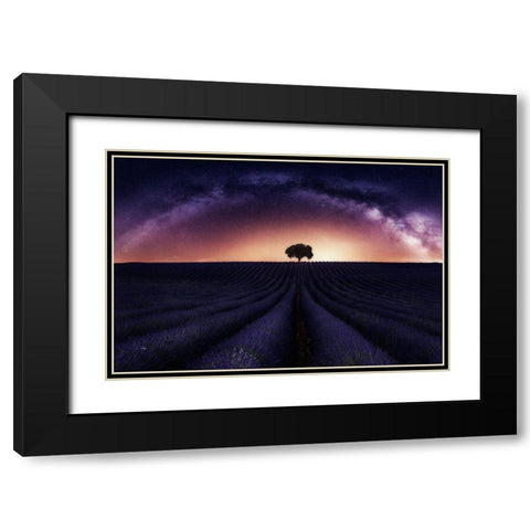 My Lavander Black Modern Wood Framed Art Print with Double Matting by Ruiz Dueso, Jorge