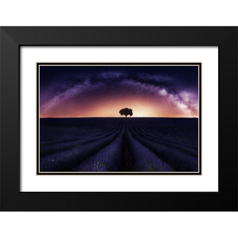 My Lavander Black Modern Wood Framed Art Print with Double Matting by Ruiz Dueso, Jorge