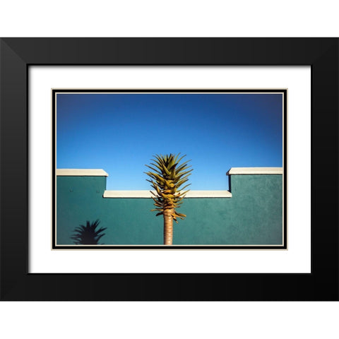 The Desert Blooms Black Modern Wood Framed Art Print with Double Matting by Wride, Linda