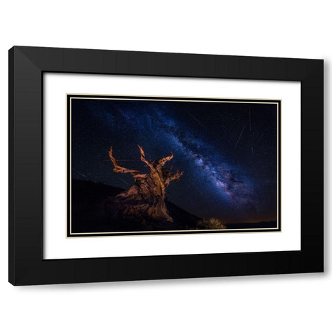 Shooting Stars Night Black Modern Wood Framed Art Print with Double Matting by Zheng, Michael